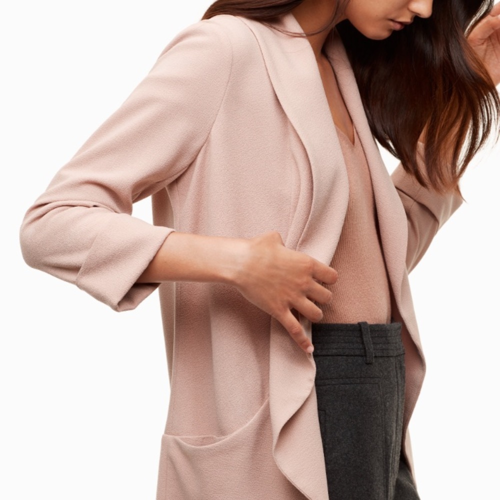 Aritzia Chevalier blazer